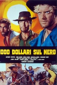 Film Les Colts de la violence streaming VF complet