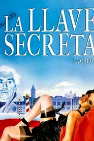 Imagen de La llave secreta