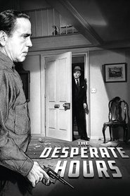 Poster of undefined