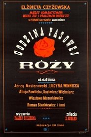 Imagen de Godzina pąsowej róży