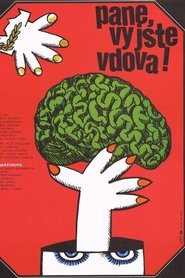 Film Pane, vy jste vdova! streaming VF complet