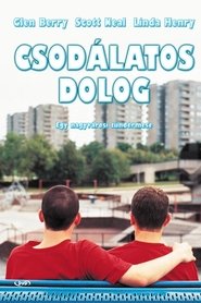 Csodálatos dolog 1996