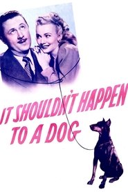 It Shouldn't Happen to a Dog