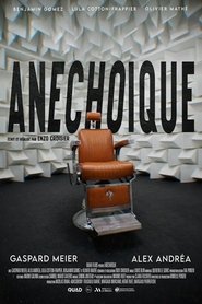Imagen de Anechoic