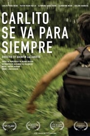 Film Carlito part pour toujours streaming VF complet