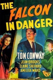 Film The Falcon in Danger streaming VF complet