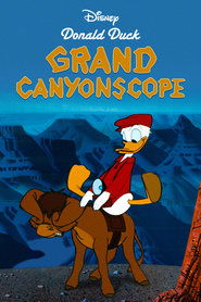 Donald visite le Grand Canyon