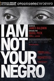 I Am Not Your Negro 2017