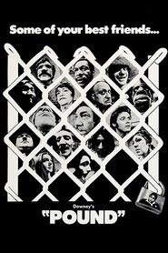 Film Pound streaming VF complet