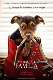 a dog´s Way home (Mis huella a casa) (2018) a dog´s Way home (Mis huella a casa) (2018)