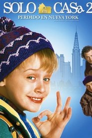 Mi pobre angelito 2: perdido en Nueva York