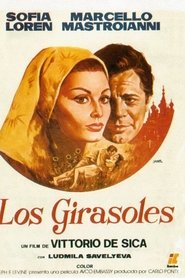 Imagen de Los girasoles