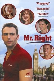 Film Mr. Right streaming VF complet