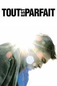 Tout est parfait streaming sur filmcomplet