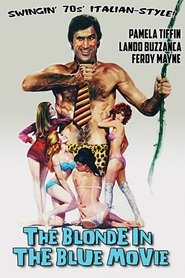 Film Il vichingo venuto dal sud streaming VF complet
