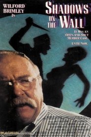 Film Shadows on the Wall streaming VF complet