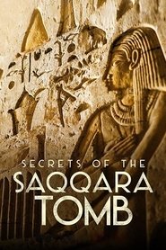 Imagen de Los secretos de la tumba de Saqqara