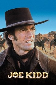 Film Joe Kidd streaming VF complet
