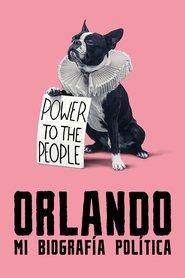 Imagen de Orlando, mi biografía política