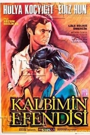 Kalbimin efendisi streaming sur filmcomplet