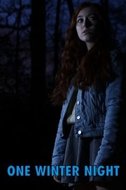 Film One Winter Night streaming VF complet