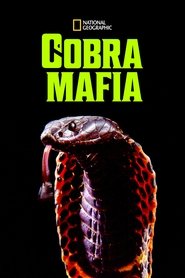 Imagen de Cobra Mafia