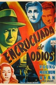 Imagen de Encrucijada de odios