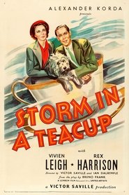 Film Storm in a Teacup streaming VF complet