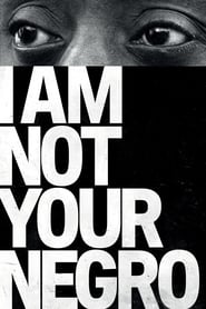 Film I Am Not Your Negro streaming VF complet