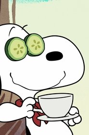 Bed Heads y cuidado del Beagle/La gran fiebre del oro