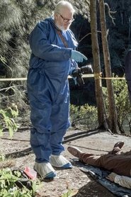 Serpientes en la hierba