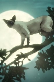 Un Sueño de Mil Gatos/Calíope