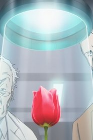 Episodio 6