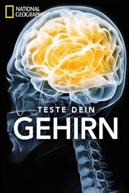 Otestujte svůj mozek