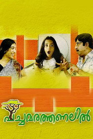Pachamarathanalil (2008) - Nassar Movies Timeline watch order
