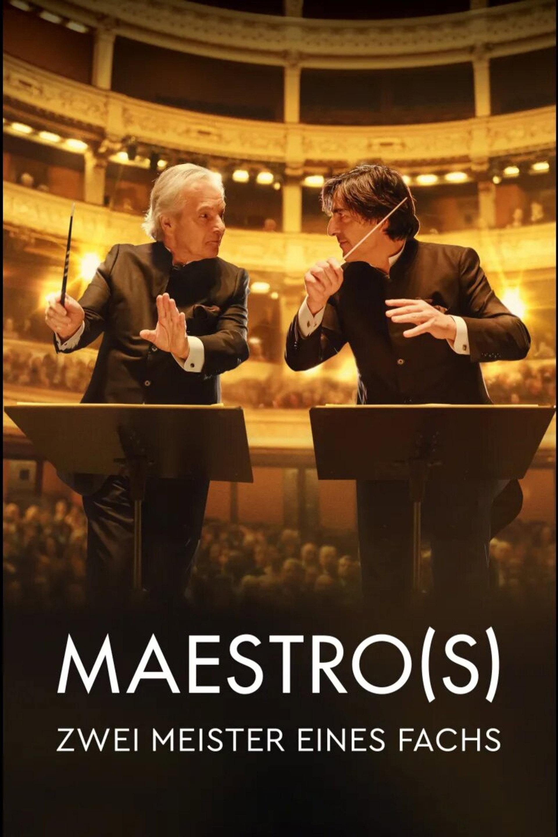 Maestro(s) - Zwei Meister eines Fachs