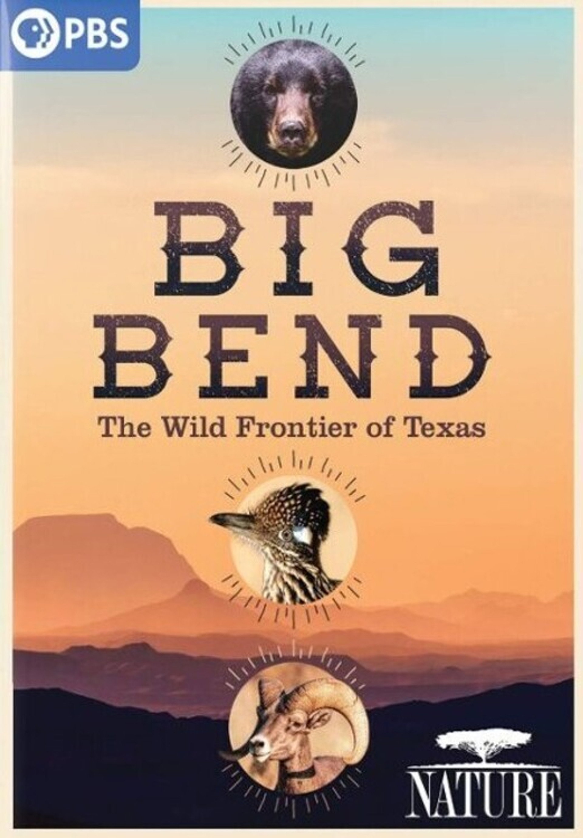 Big Bend - Amerikas wildeste Grenze