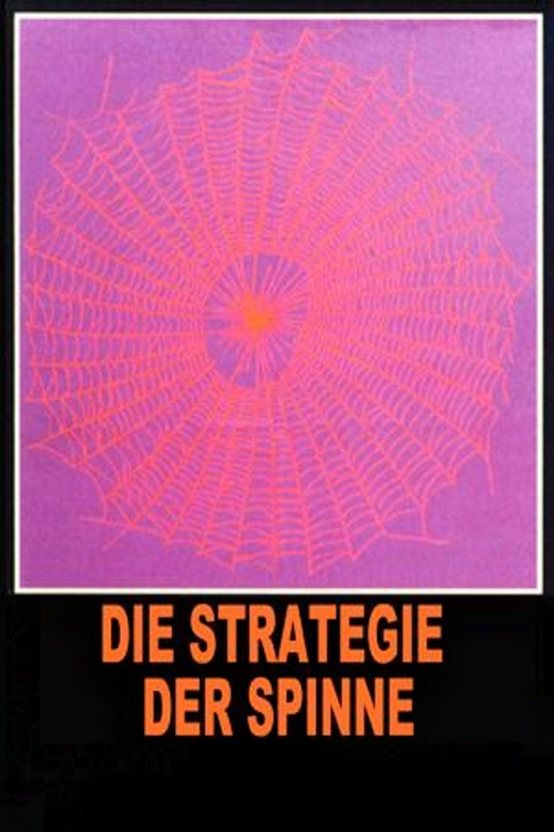 Die Strategie der Spinne