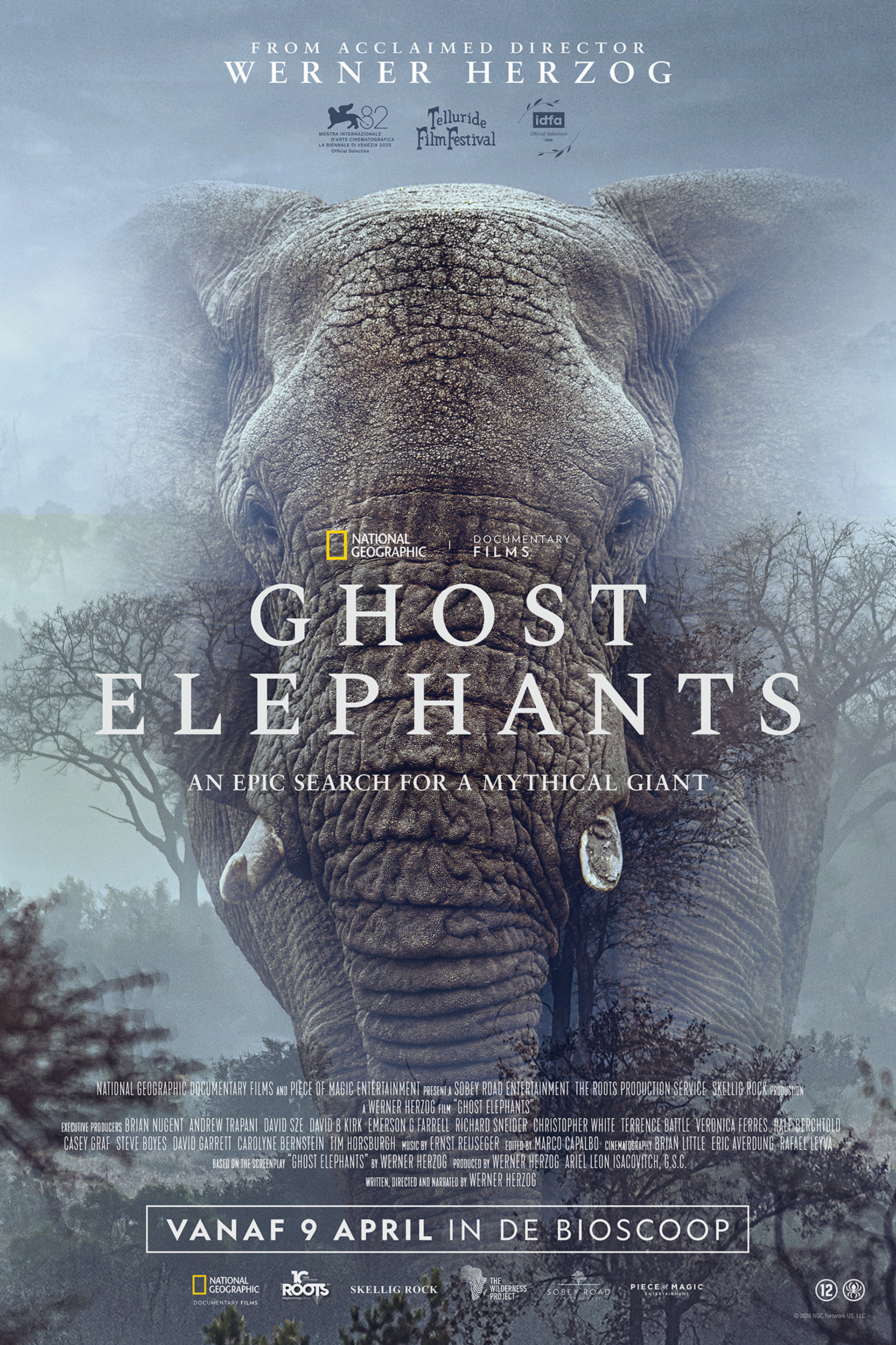 Ghost Elephants
