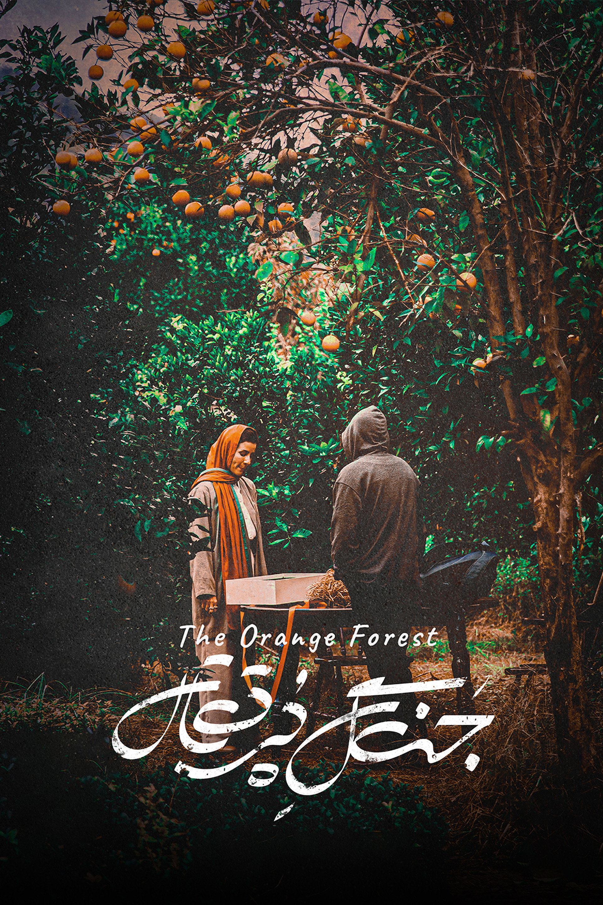 The Orange Forest
