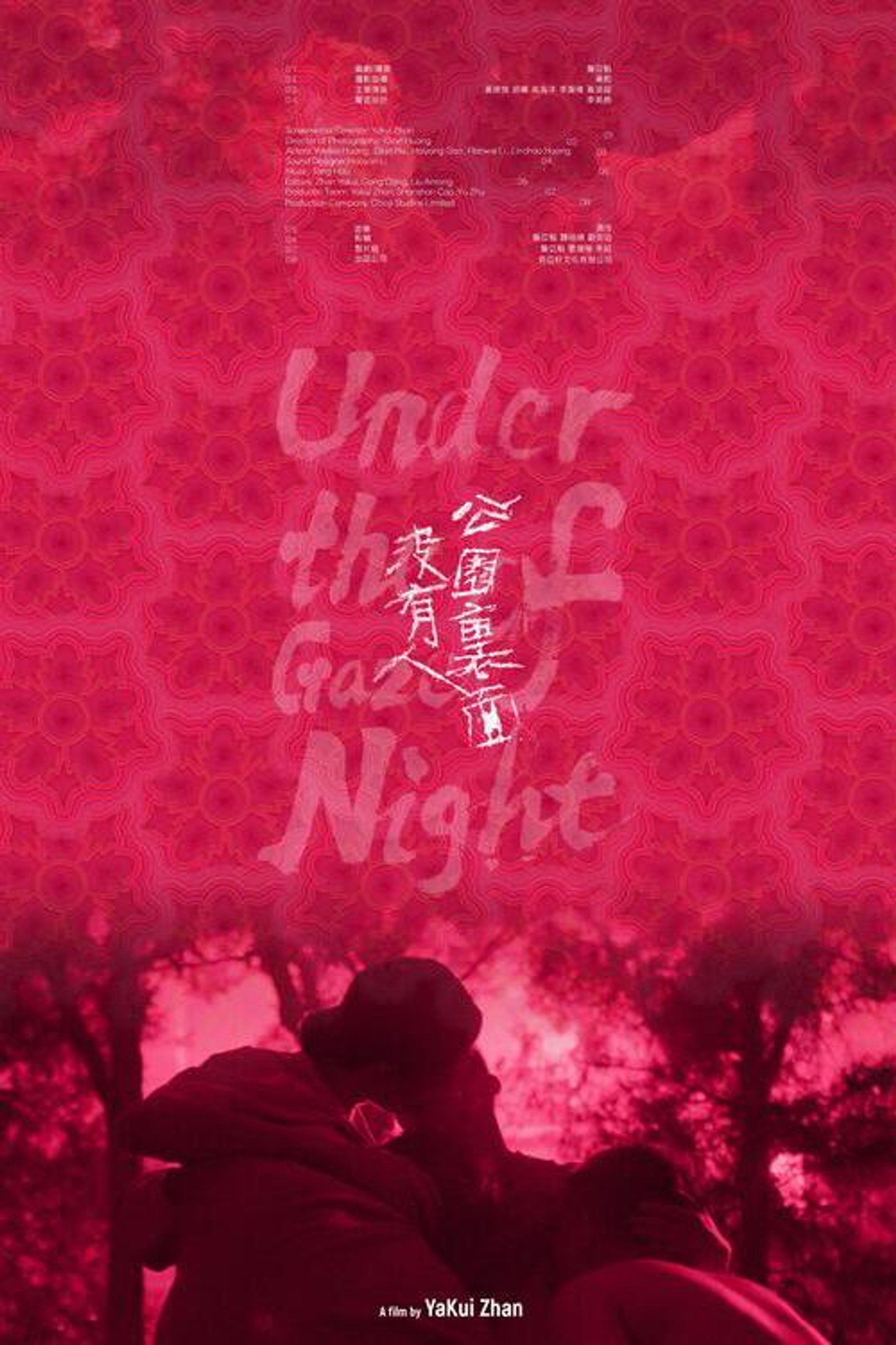 Under the Gaze of Night