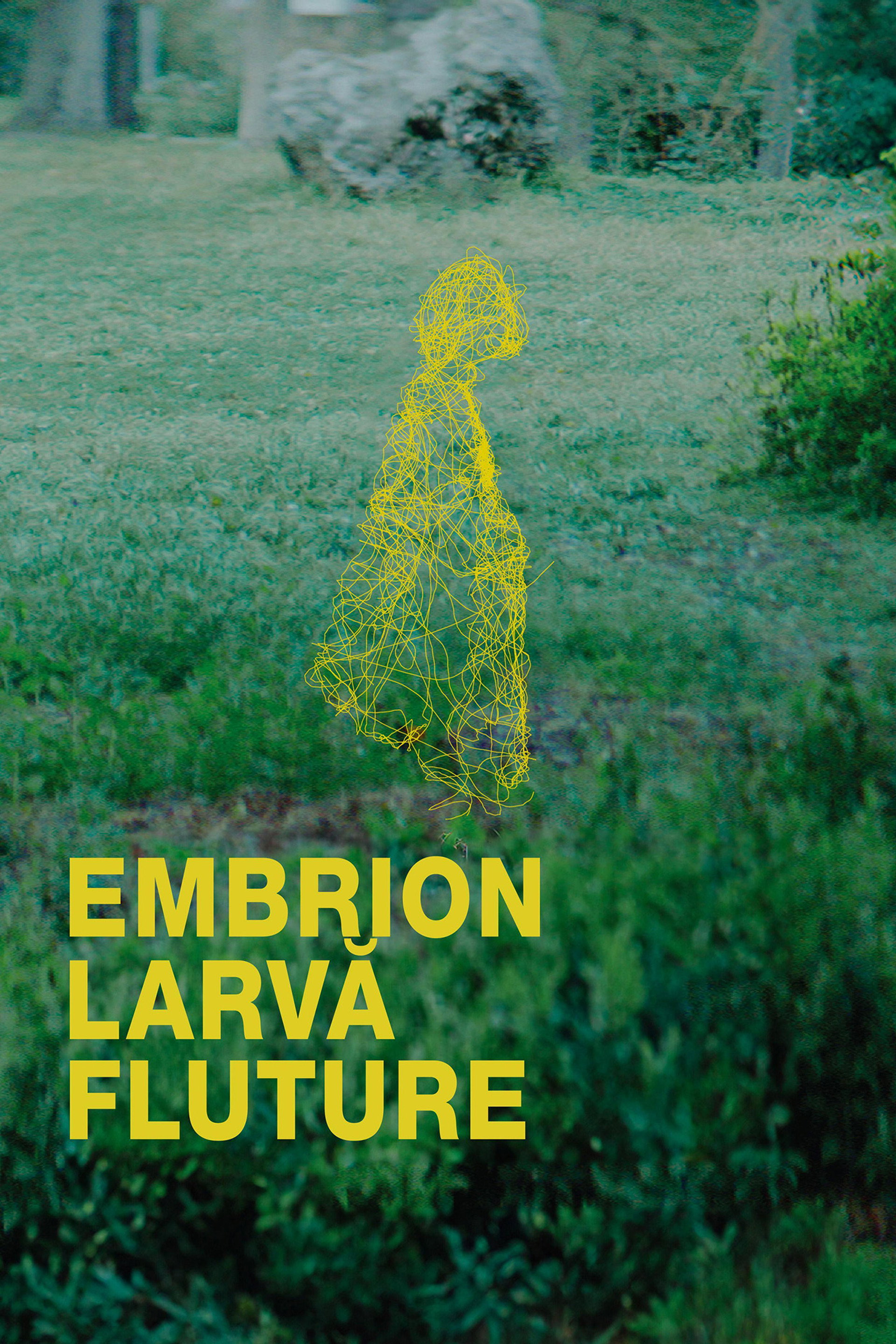 Embrion, larvă, fluture