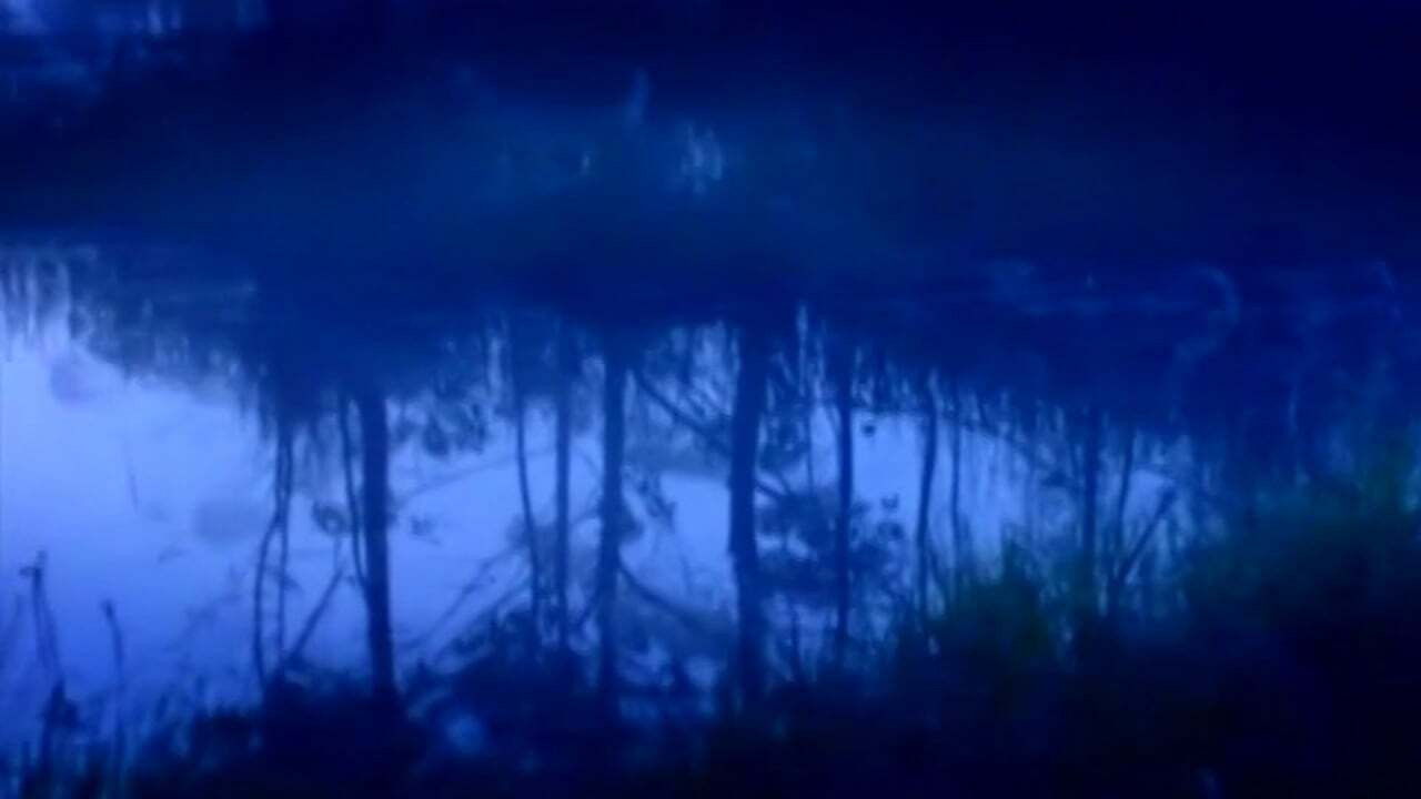 Os Melhores Anos de Nossas Vidas