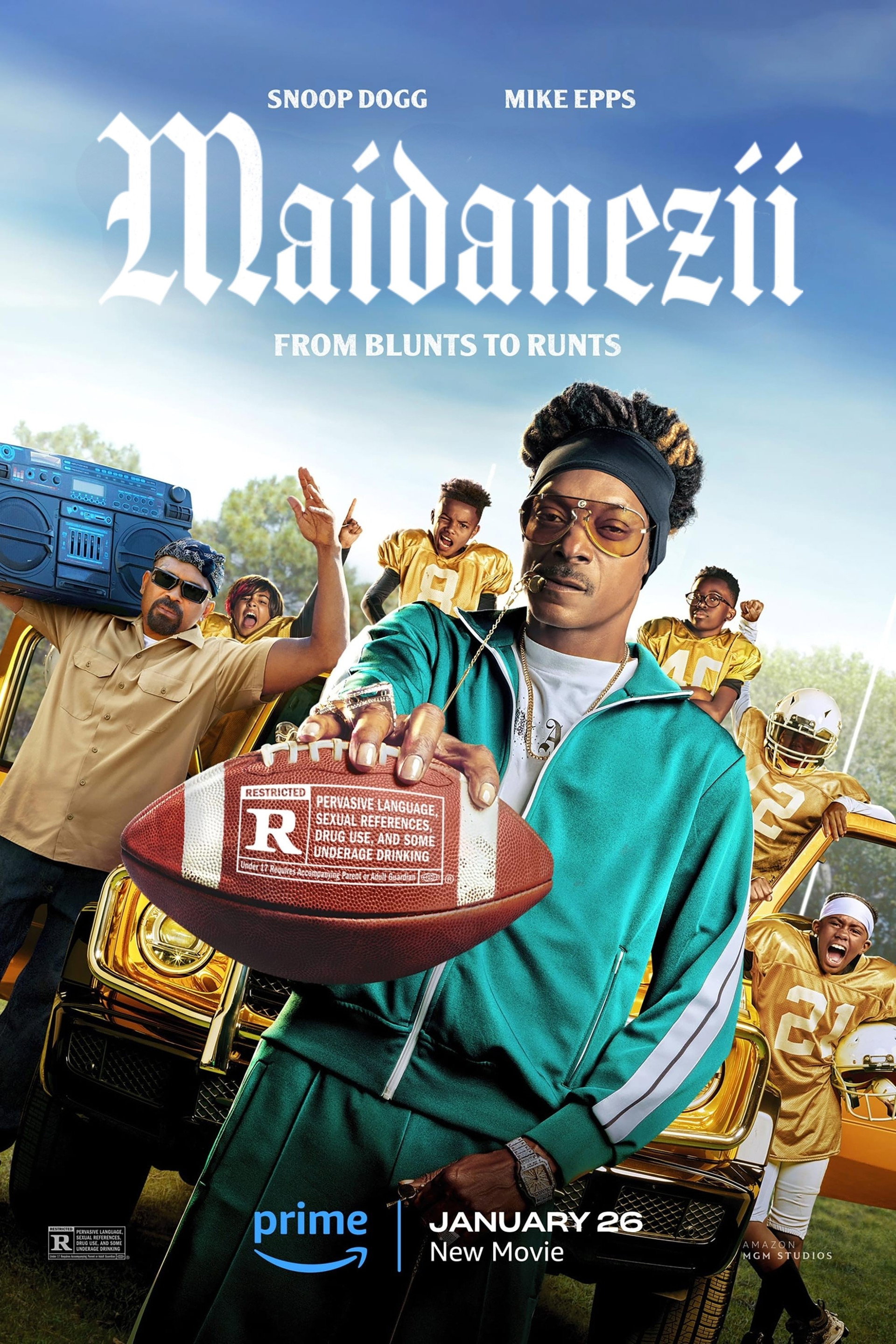 Maidanezii