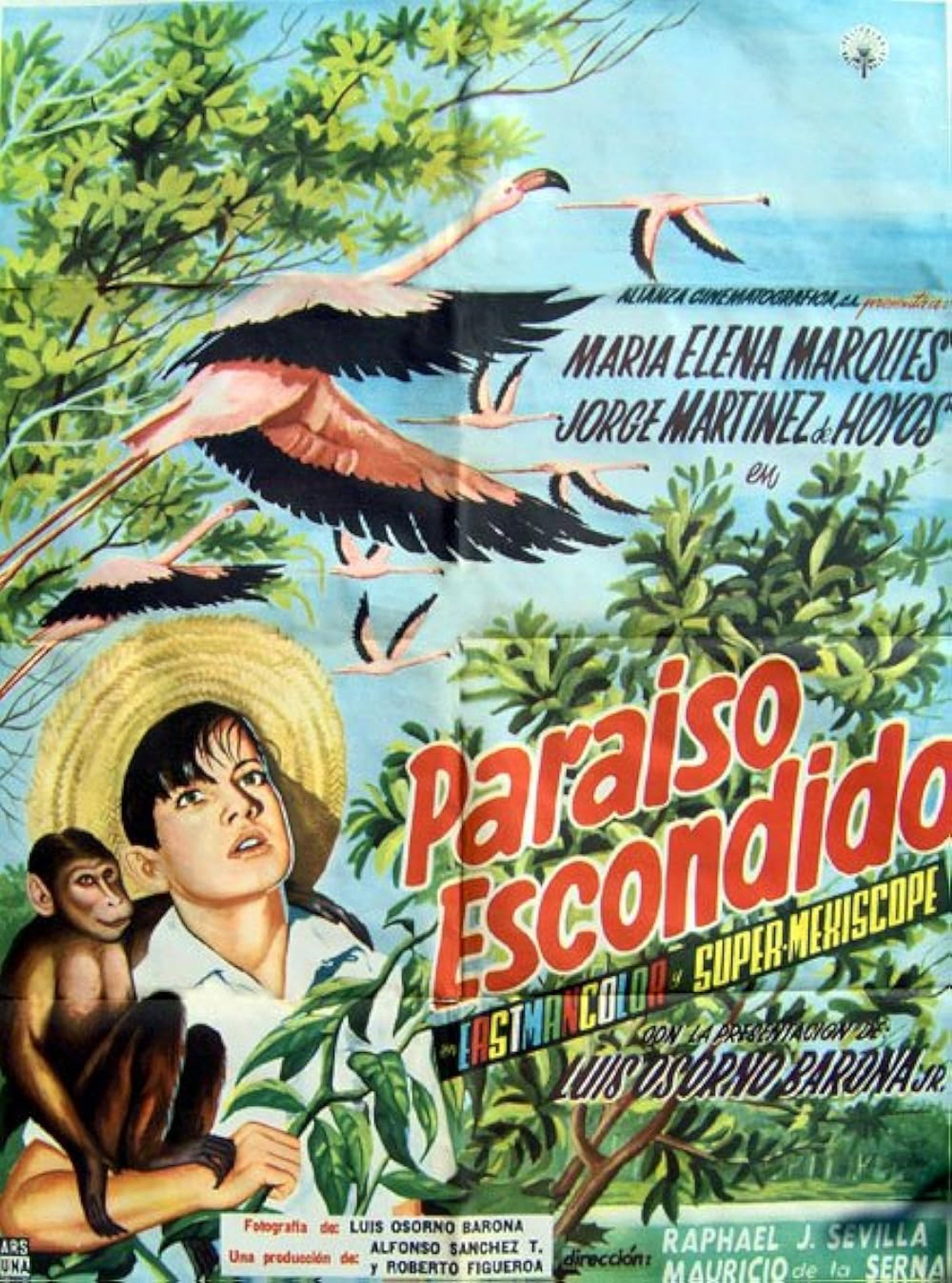 Paraíso escondido