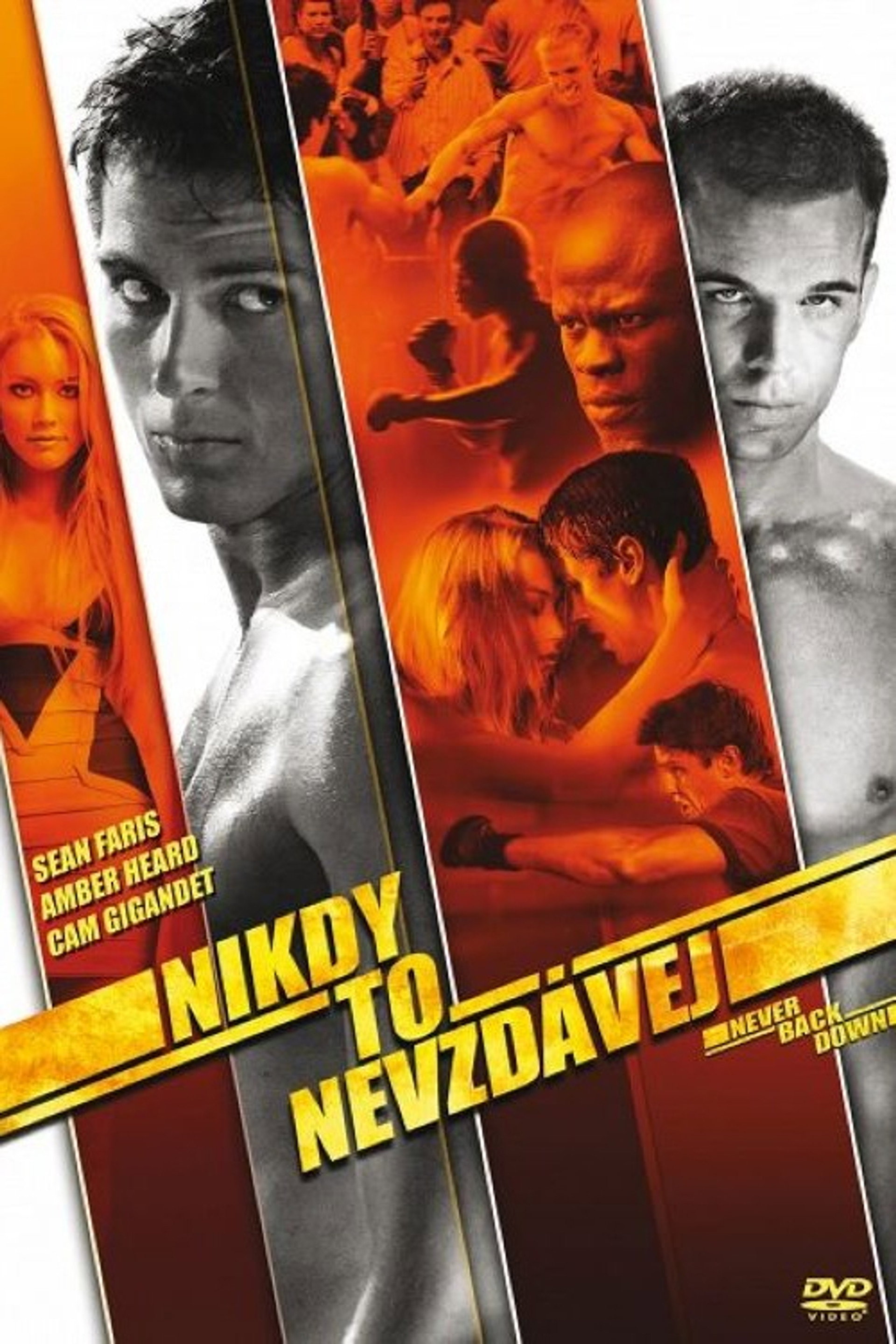 Nikdy to nevzdávej