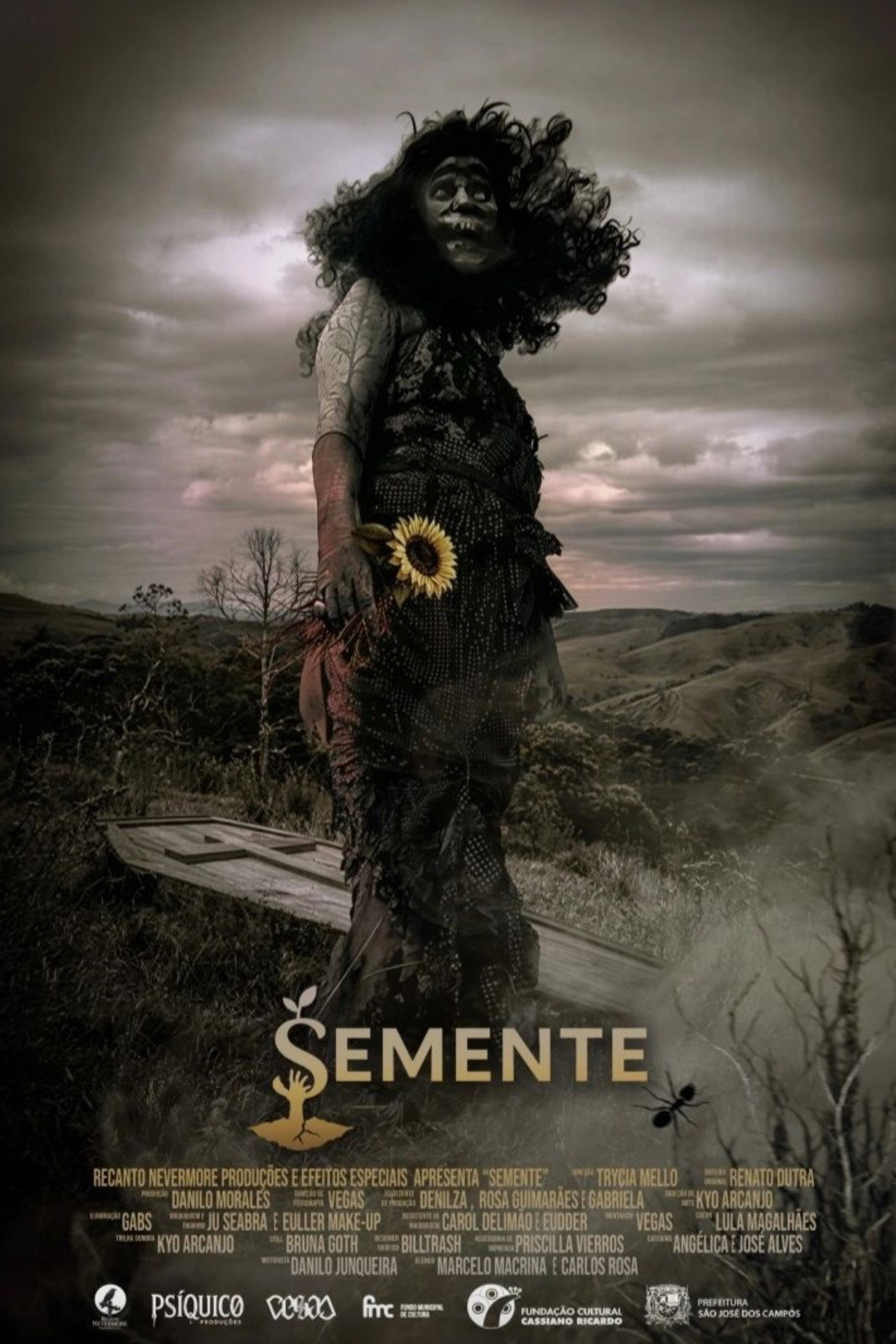 Semente