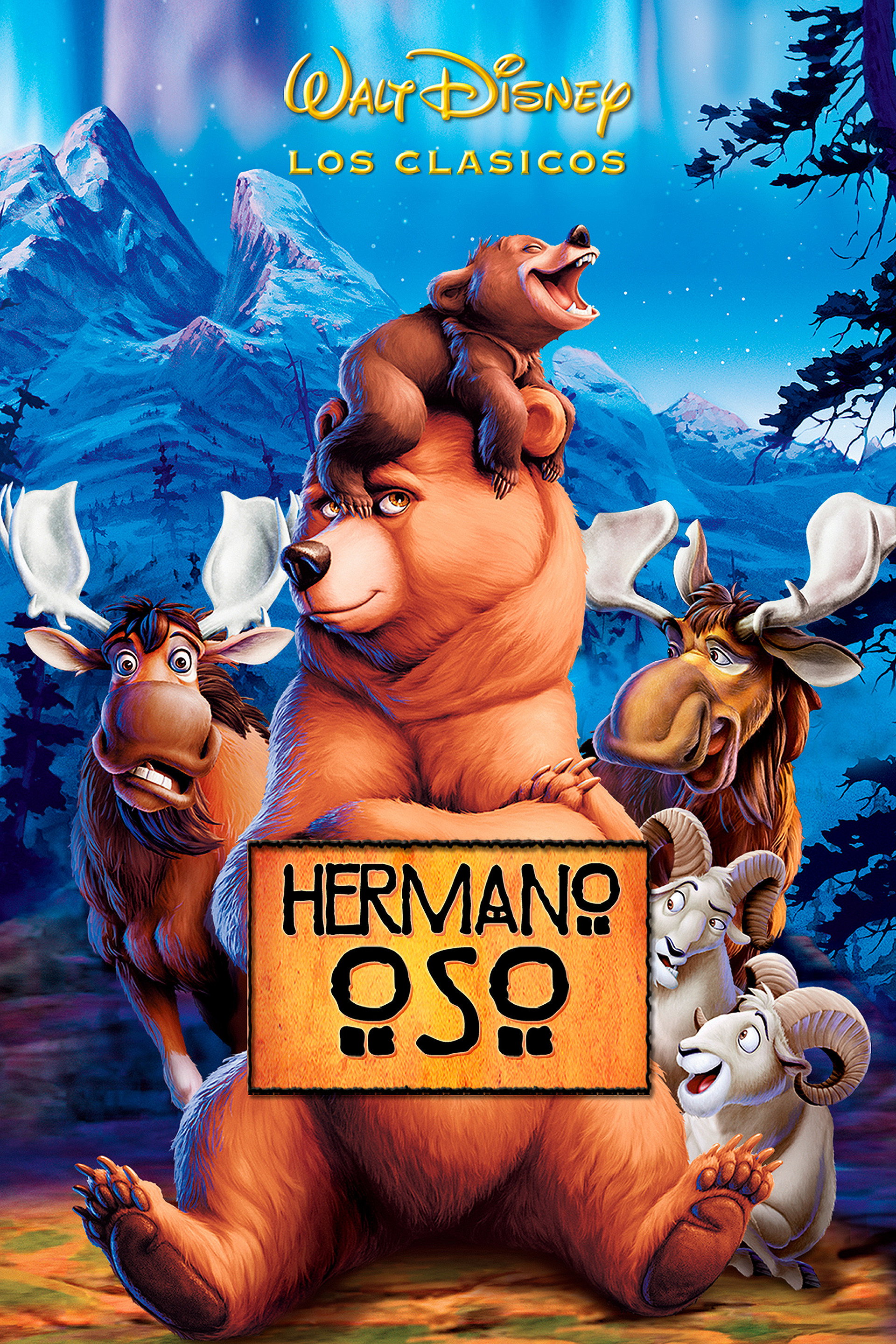 Hermano oso