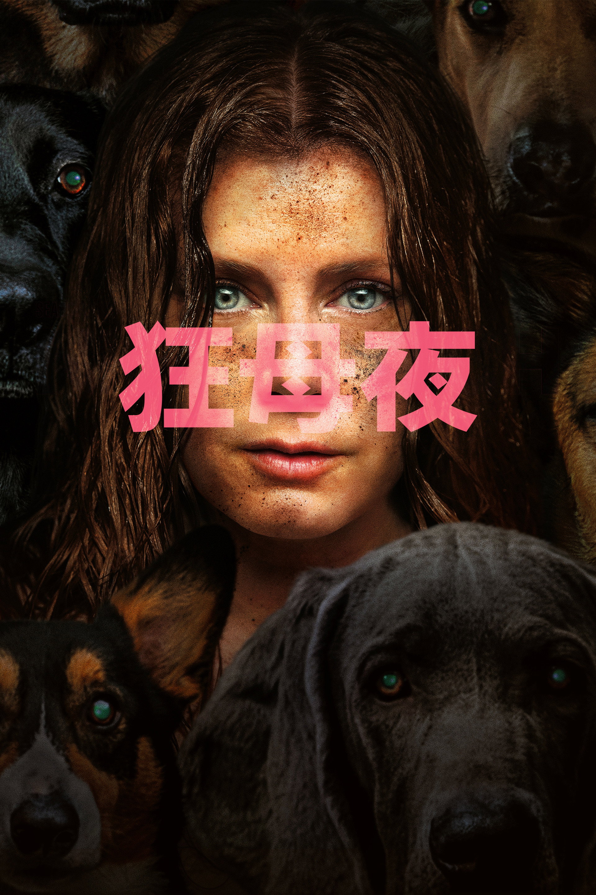 夜母