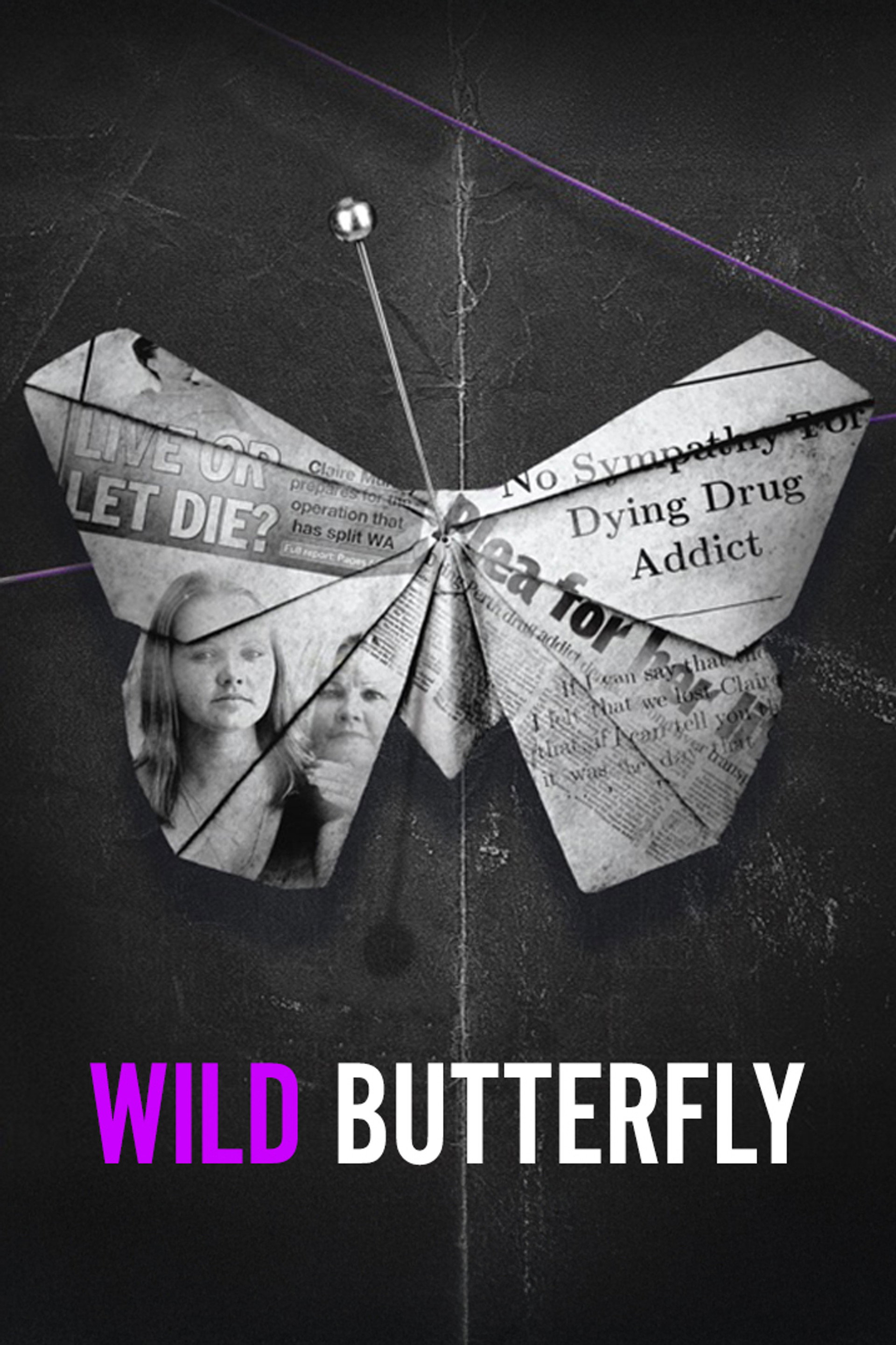 Wild Butterfly